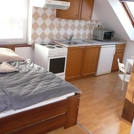 Apartments U Cara เชสเกบูดิเยโจวิตเซ ห้อง รูปภาพ